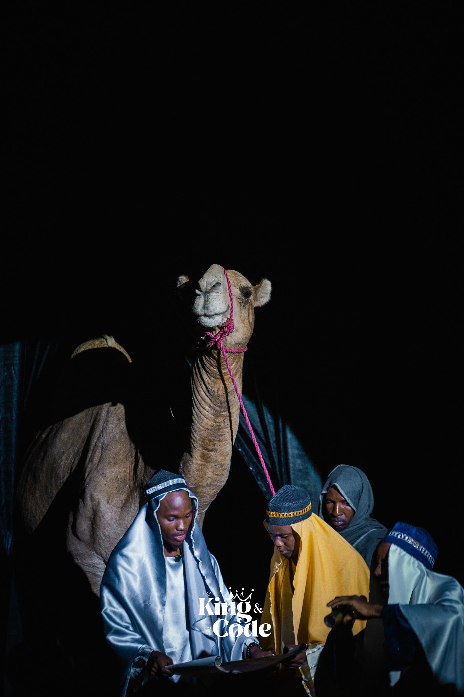 Junior the Camel: The Star You Didn't Know You Needed
